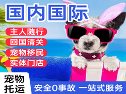 昌北机场空运国际宠物托运 【国